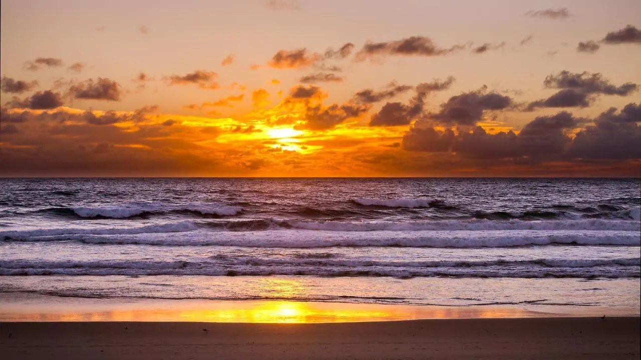 Kirra Surf Apartments Guldkusten 4*,